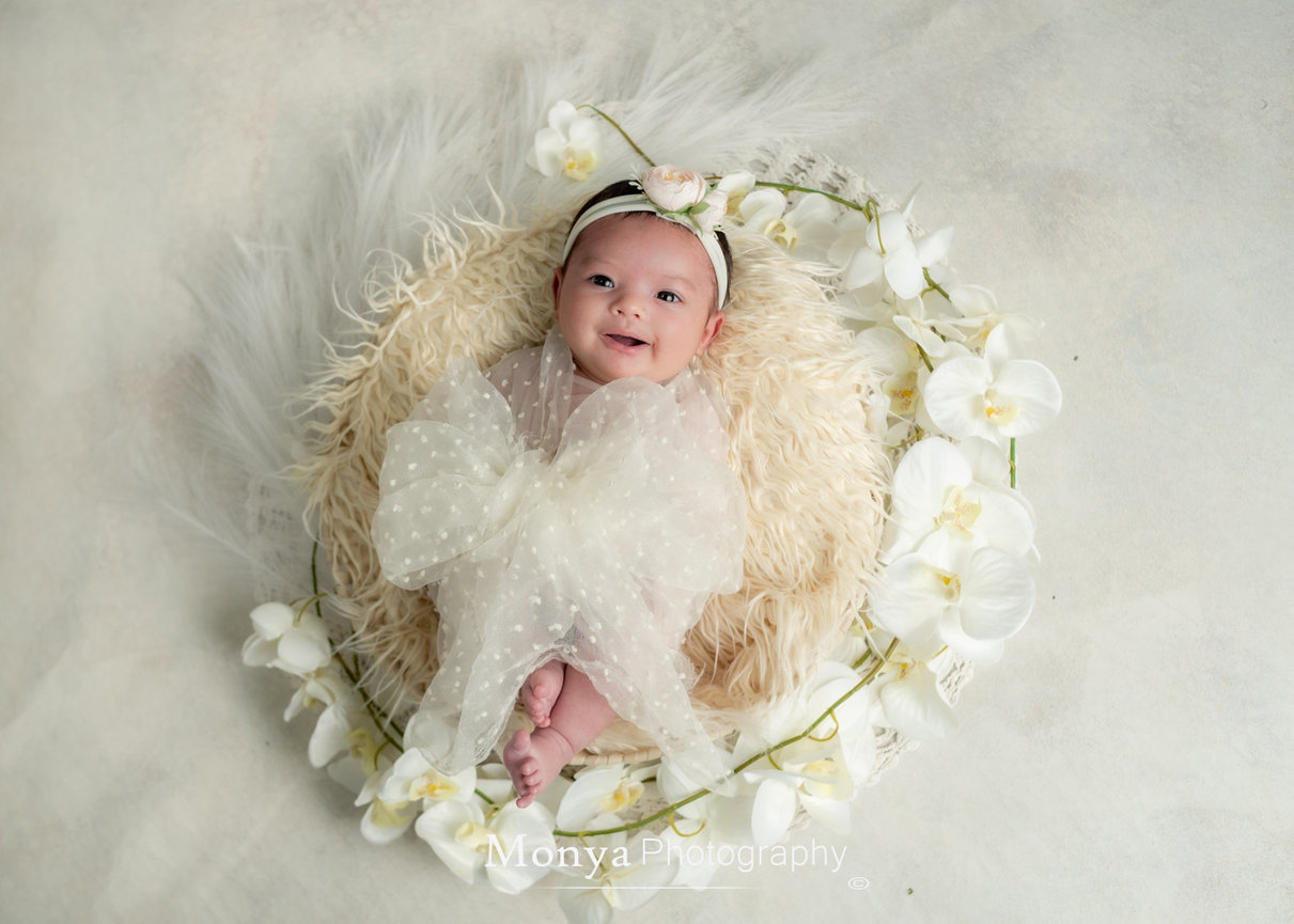 Newborn Photographer 